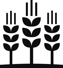 service image 05
